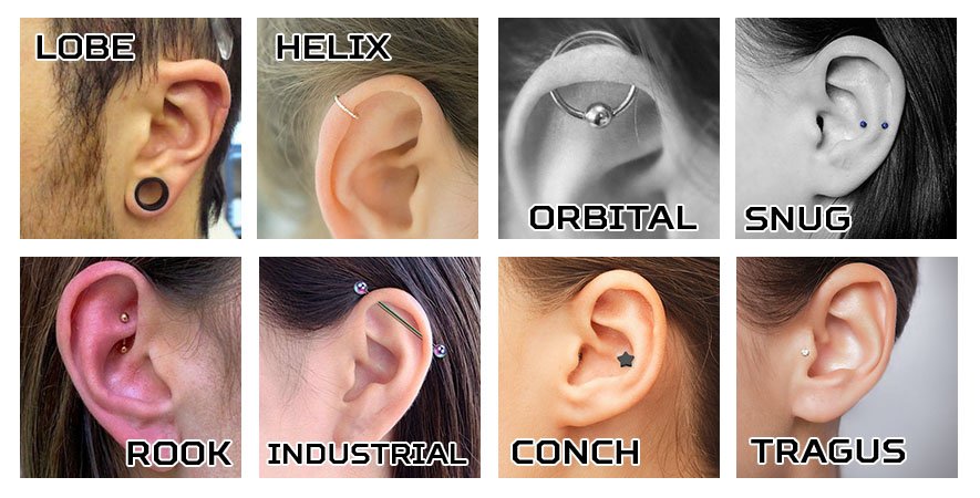 ear piercings