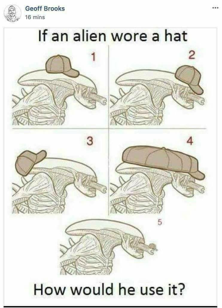 If an Alien wears a hat meme