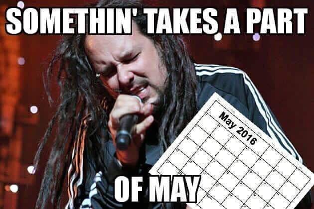 korn meme something takes a part of may